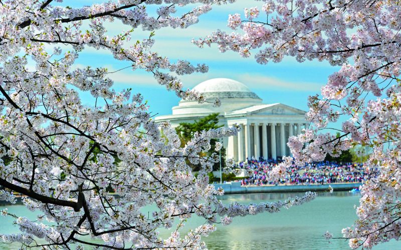 prestolnice_washington.jpg