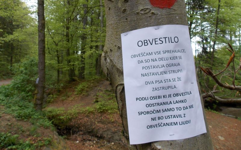 crnuce1.jpg