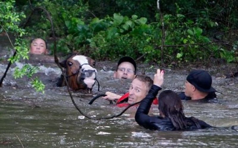 poplave_teksas.jpg