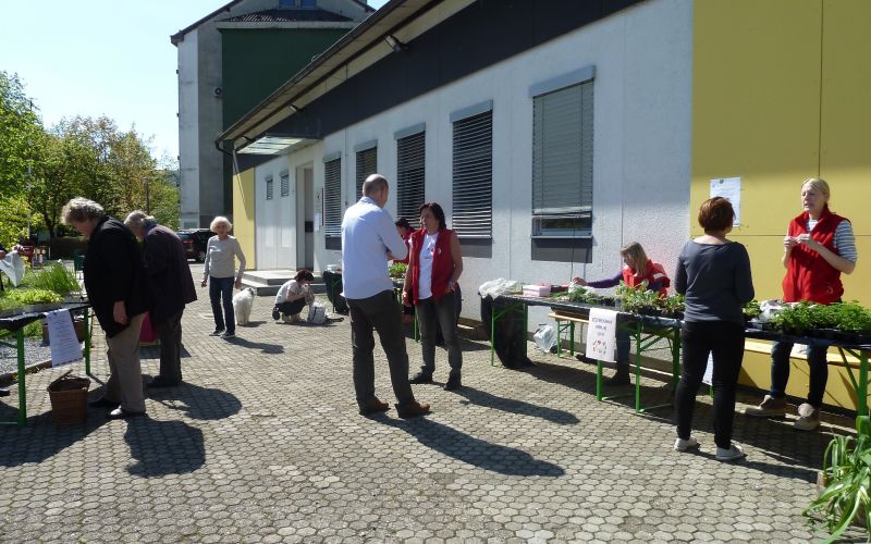 p1280797_000.jpg