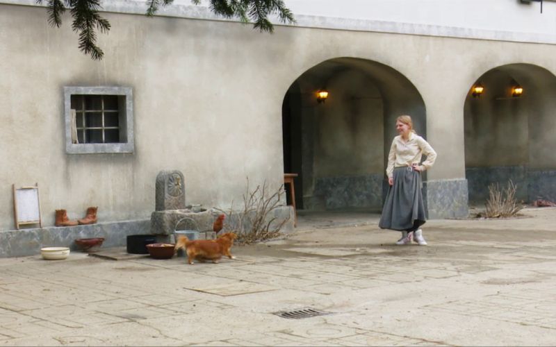 kokoš pes (3)