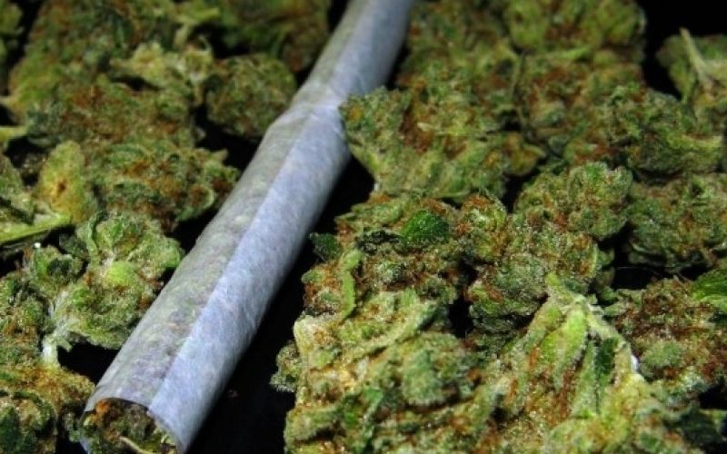 marihuana-590x330.jpg