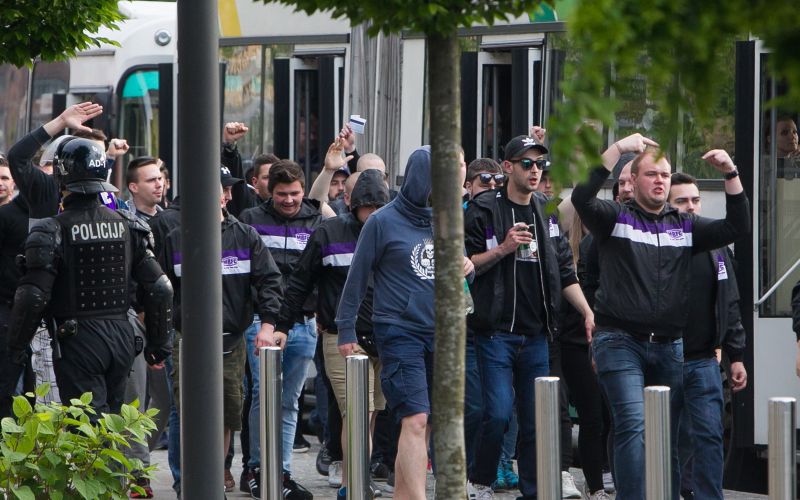 viole.jpg