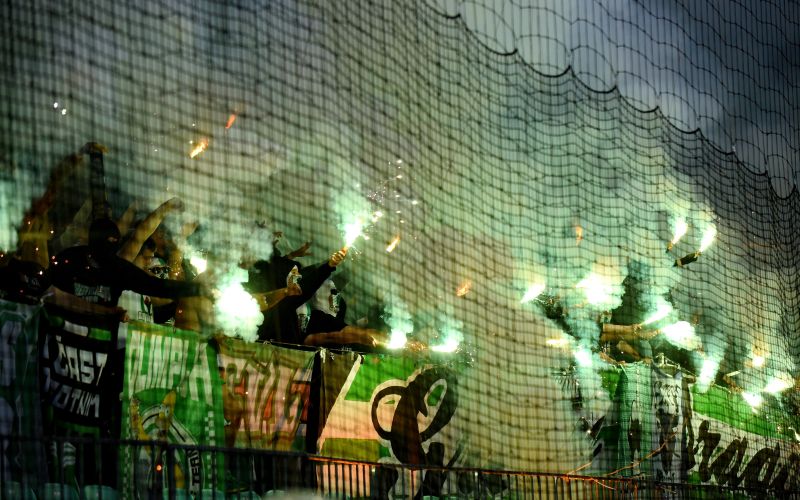 Navijači Green Dragons