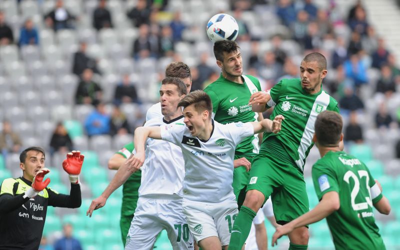 mitrovic NIK_3542.JPG