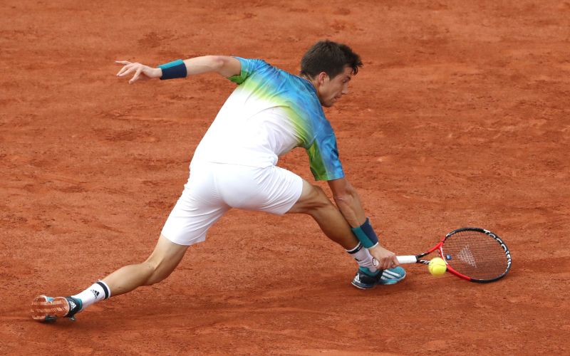 aljaz bedene.jpg