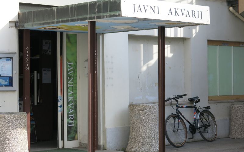 Bo akvarij ostal v Idriji?