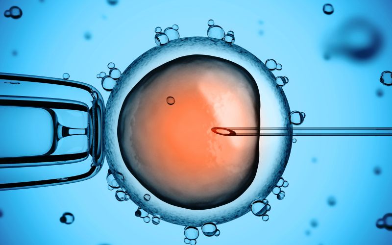 ivf