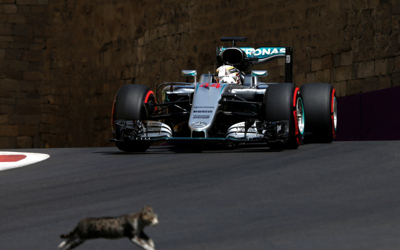 hamilton re.jpg