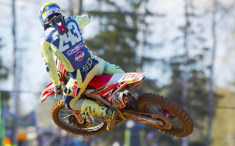 235-28-gajser vszi.jpg