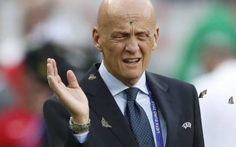 collina.jpg