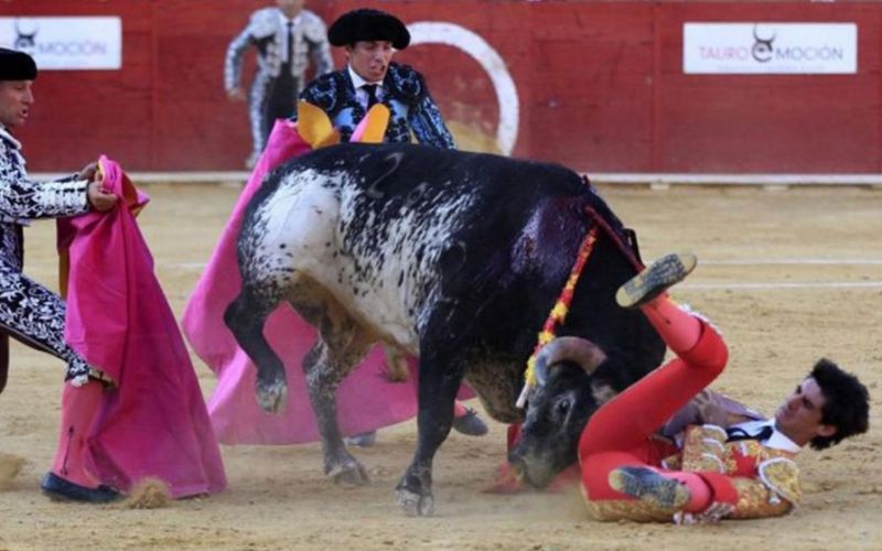 bik, victor barrio.jpg