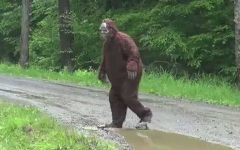 bigfoot4