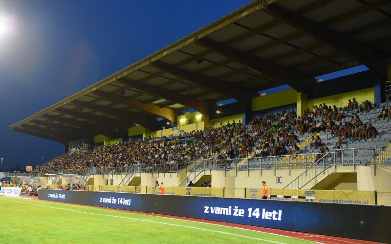 domzale sahtjor