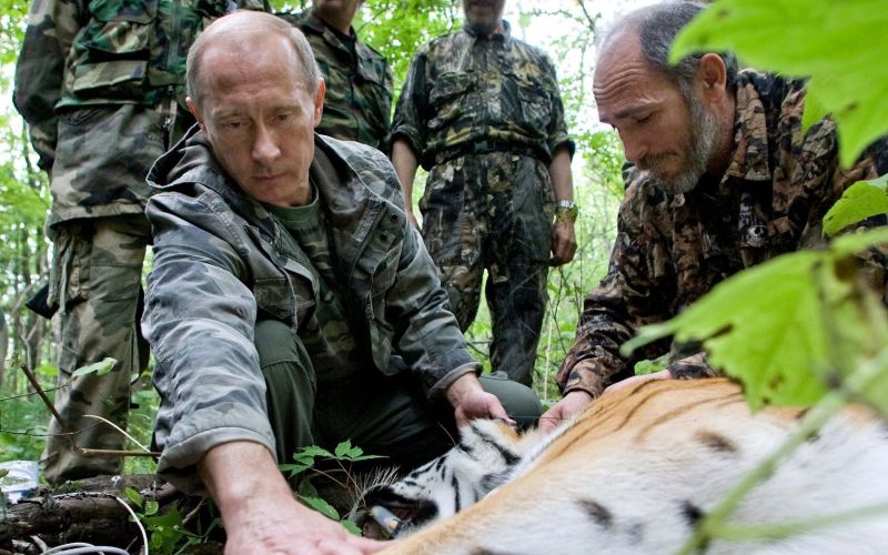 putin tiger.jpg