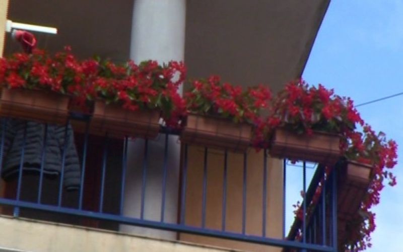 zvornik