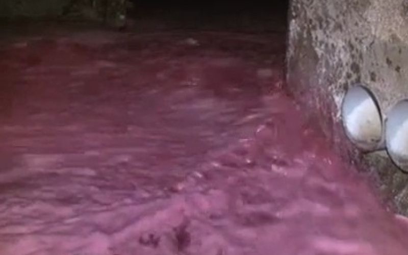 vino, sete.jpg