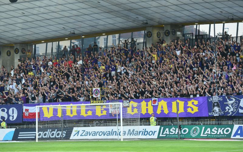 viole.jpg