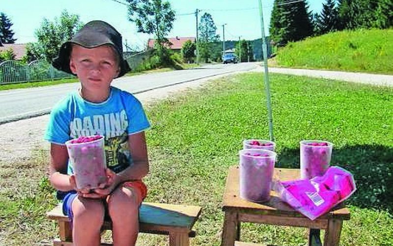 svetilnik_maline.jpg