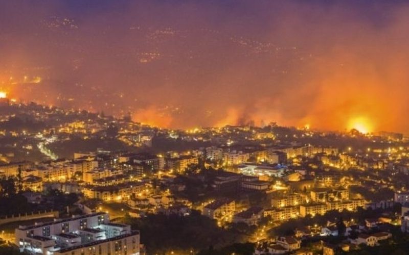 madeira3.jpg