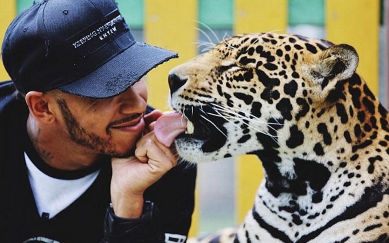 lewis hamilton.jpg