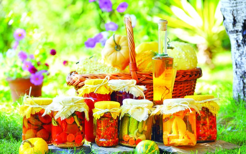 shutterstock_80452306-vlaganje.jpg