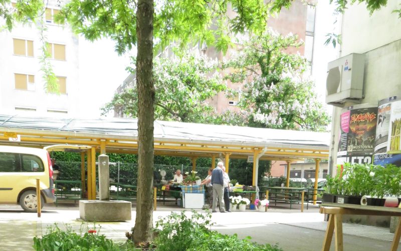 Tržnica v Novi Gorici naj bi se preselila v nekdanji Mega center.