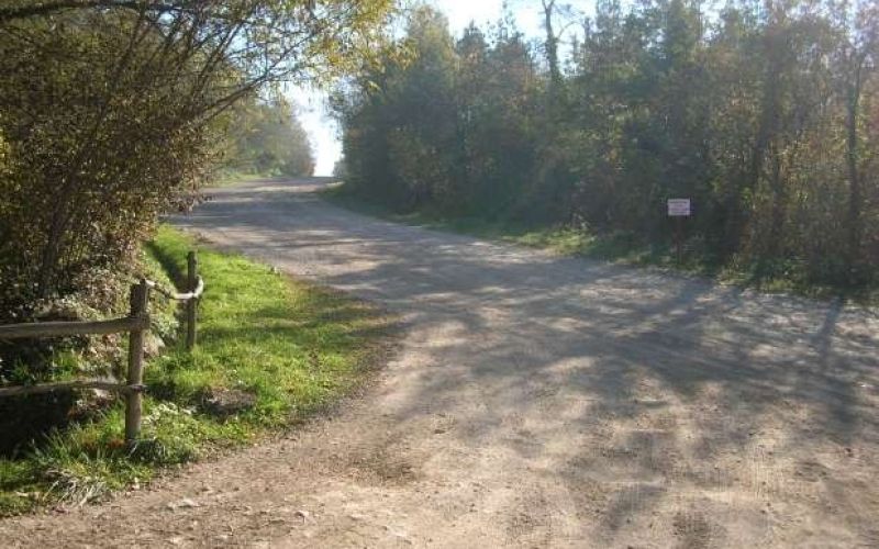 cesta čez hrib v hrastnik.jpeg