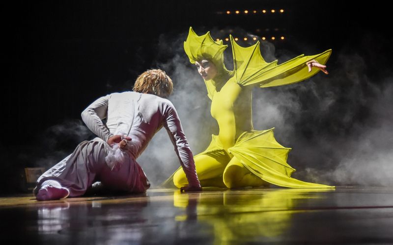 cirkus 2.jpg