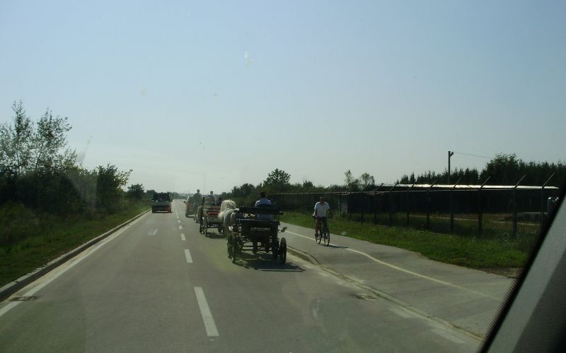 p8250139_000.jpg