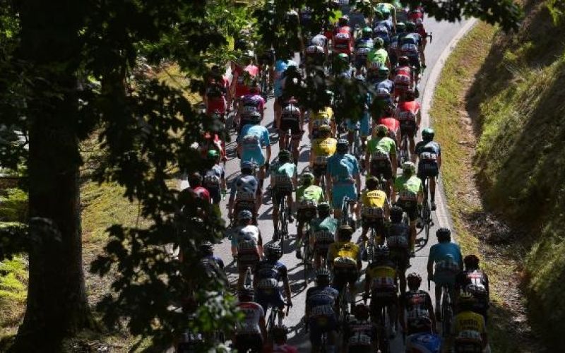 vuelta.jpg