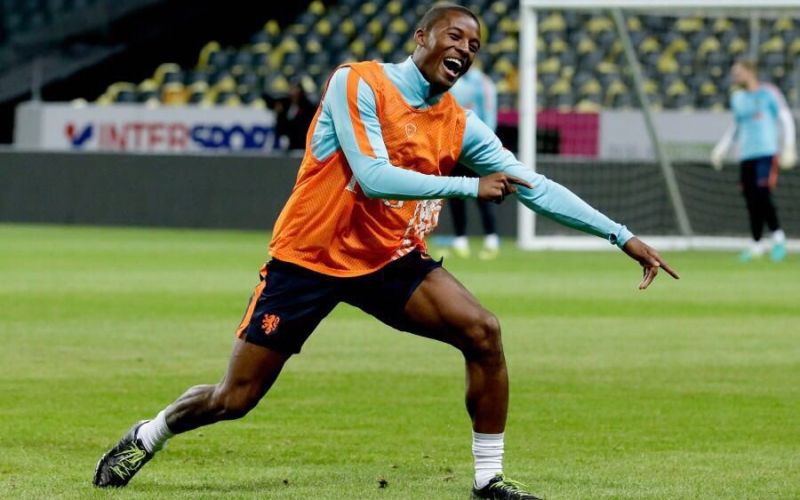 Georginio Wijnaldum.jpg