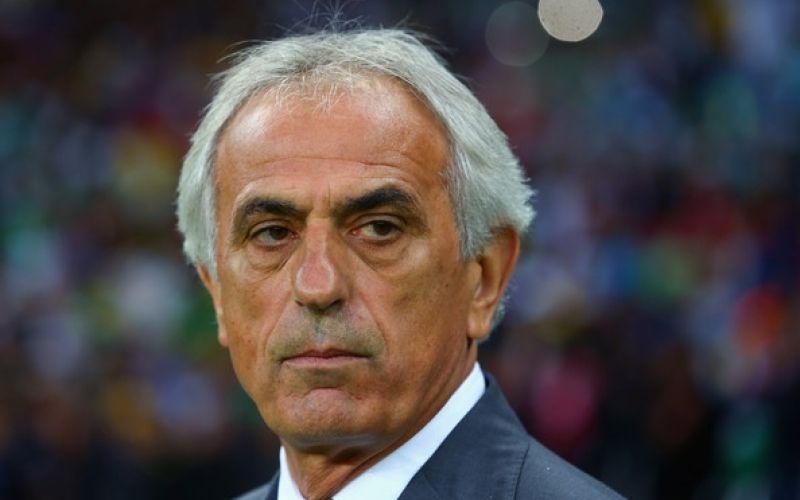 halihodzic.jpg