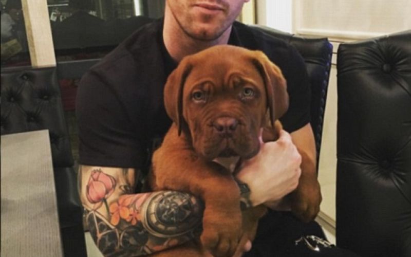 messi mastiff.jpg