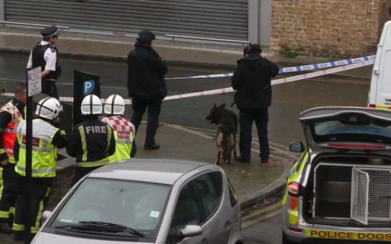 London, londonska policija, britanska policija, pes.jpg