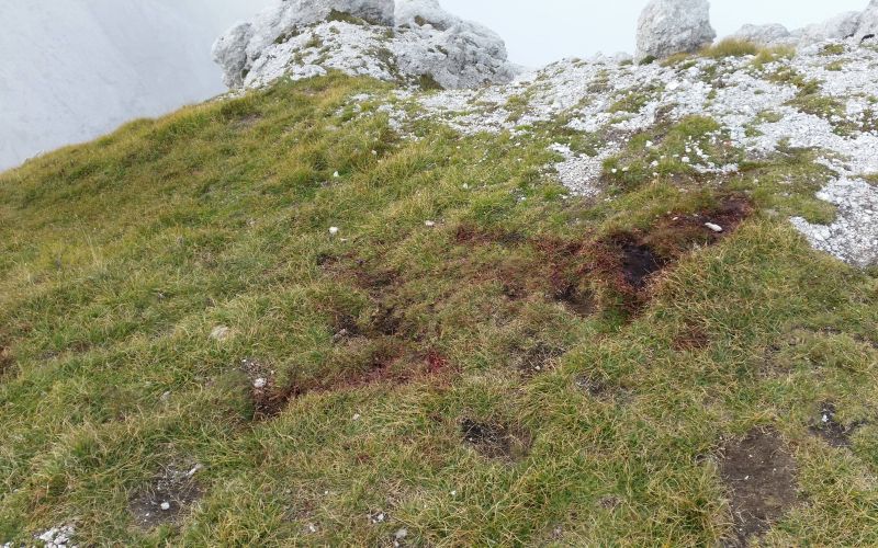 okrvavljena zaplata je bila mesto spopada