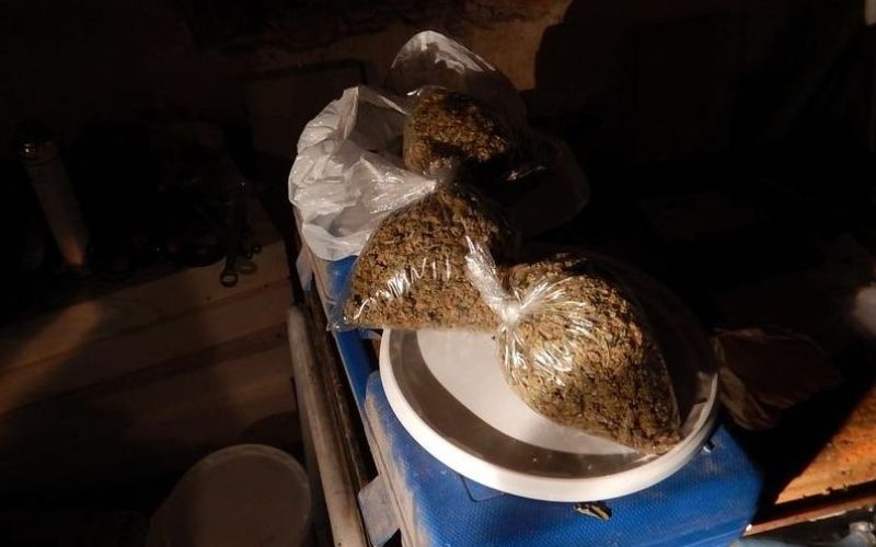amfetamini in marihuana