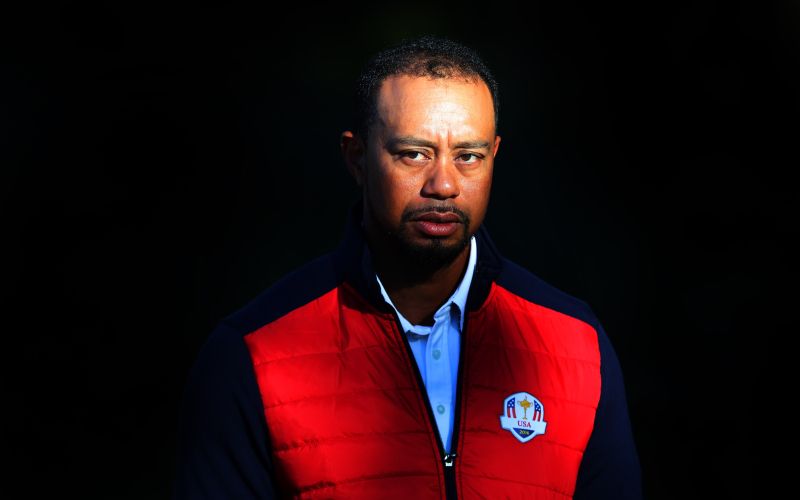 woods.jpg