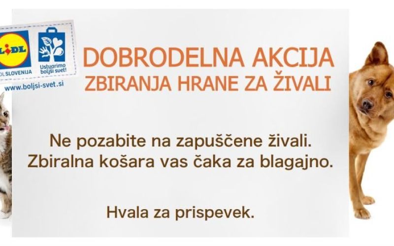 _z4545444.jpg