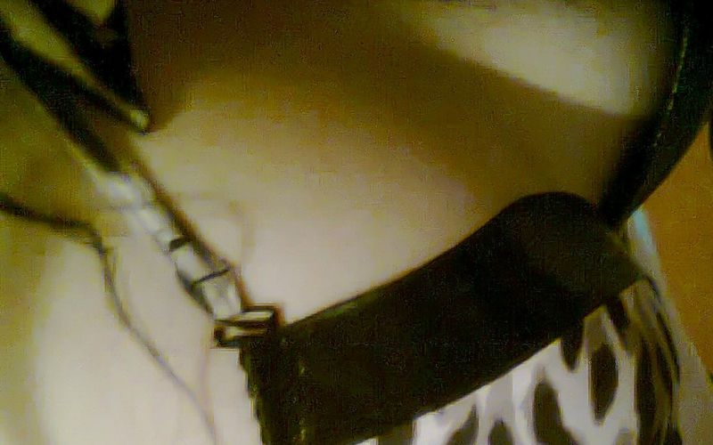 Katarina stranke privablja z izzivalnimi fotografijami.