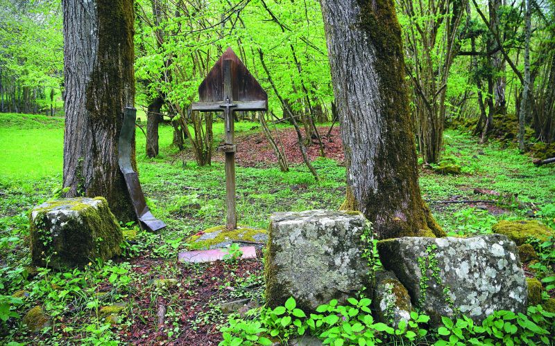 pocivala6_velika_foto_joze_guardjancic.jpg