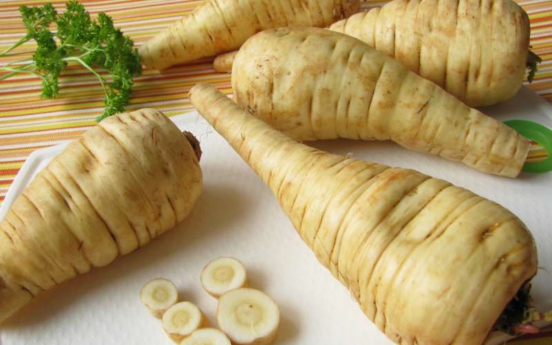 pastinak.jpg