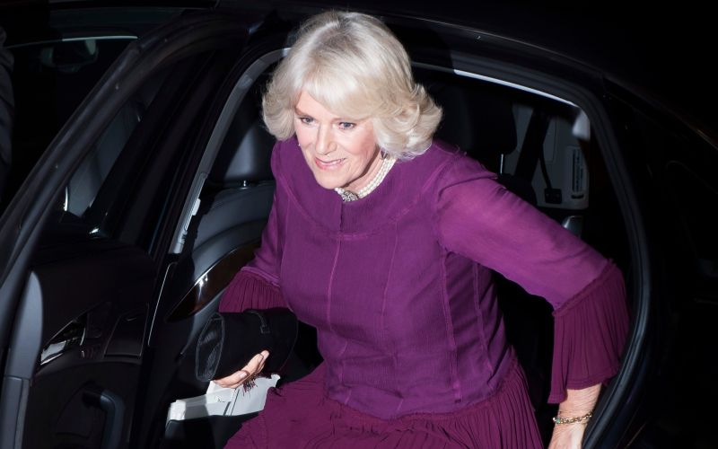camilla.jpg