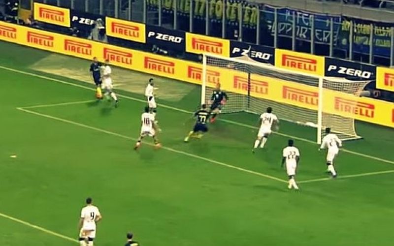 brozovic vszi.jpg