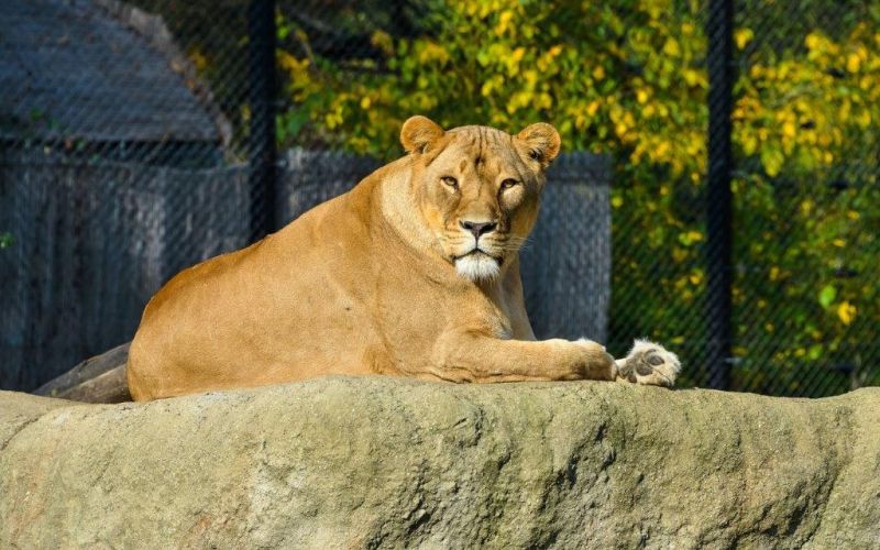 zoo_vodilna_FID_4476.jpg