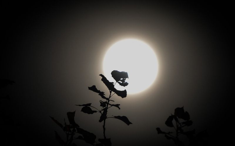 superluna, teheran.jpg