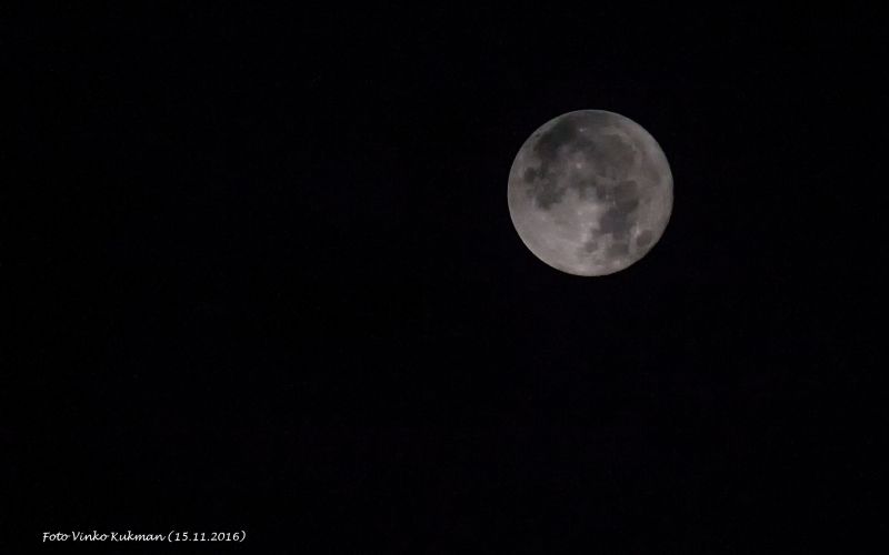 luna__1_.jpg