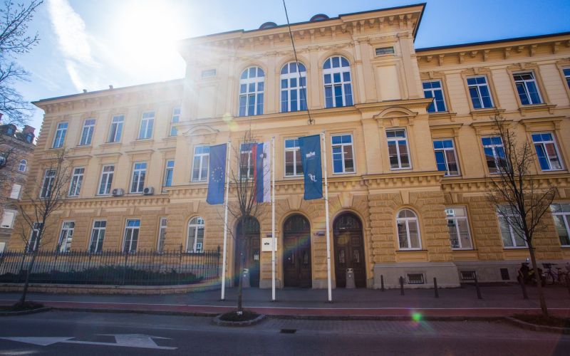 Pravna fakulteta, plagiatorstvo, Darja Vudler, diplomska naloga