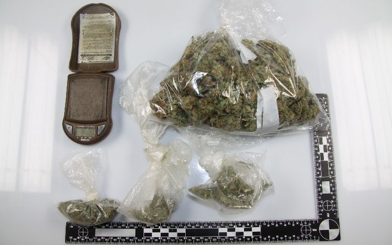 Droga, konoplja.JPG