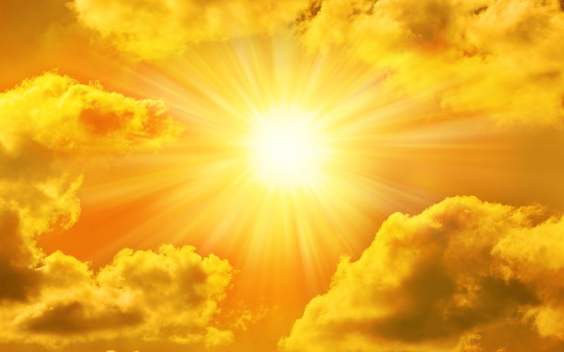 sonce